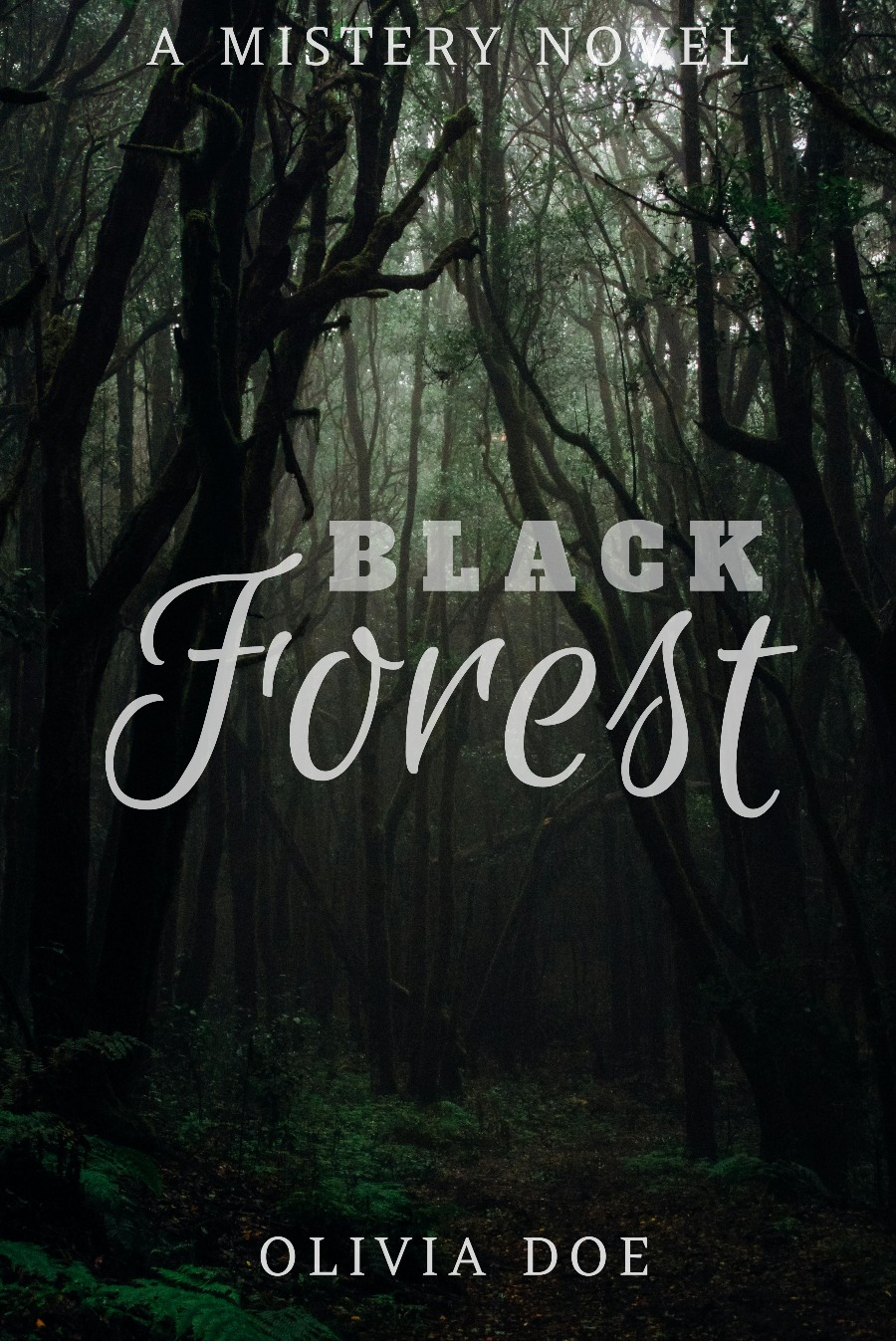 Black forest book cover