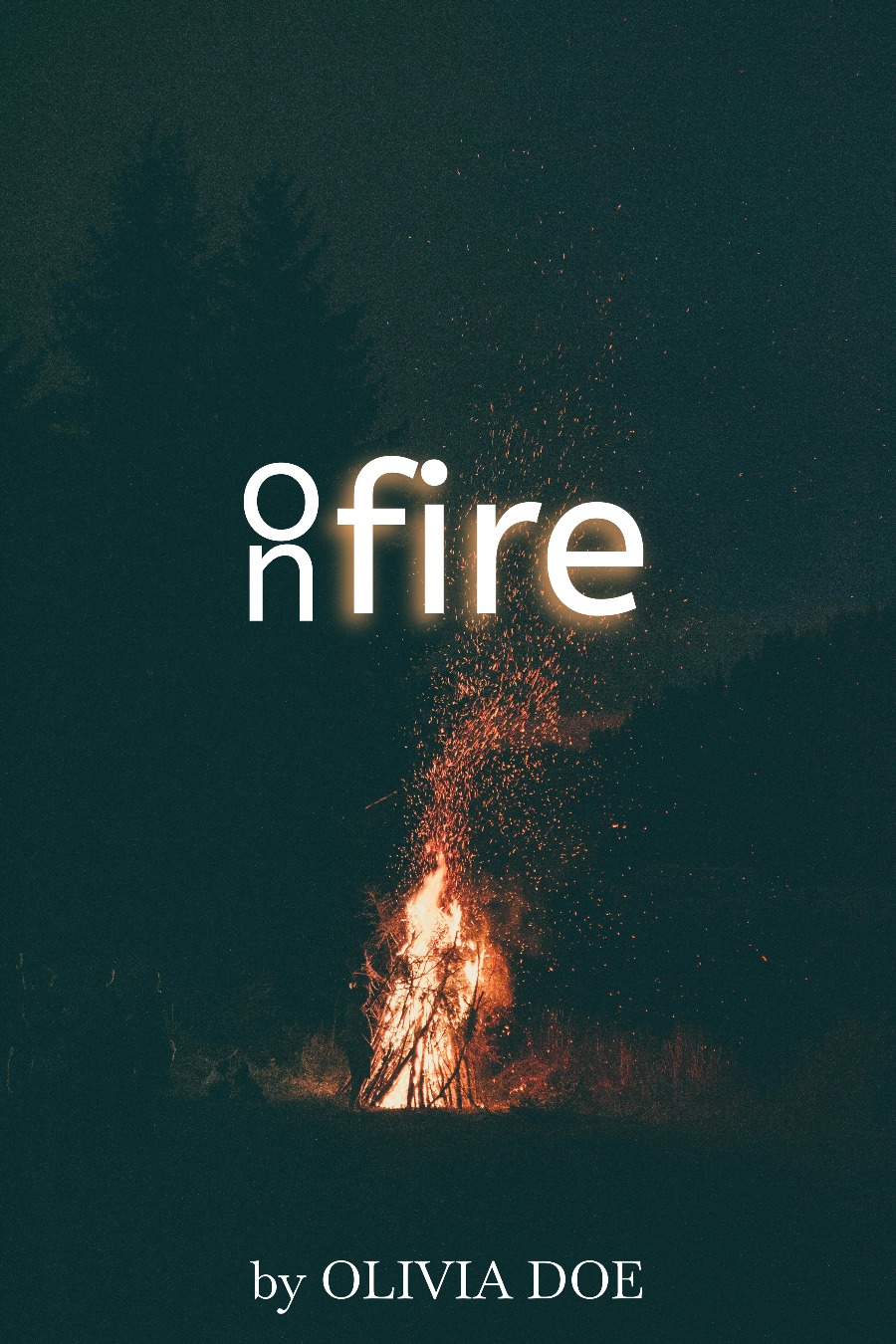 On fire book cover